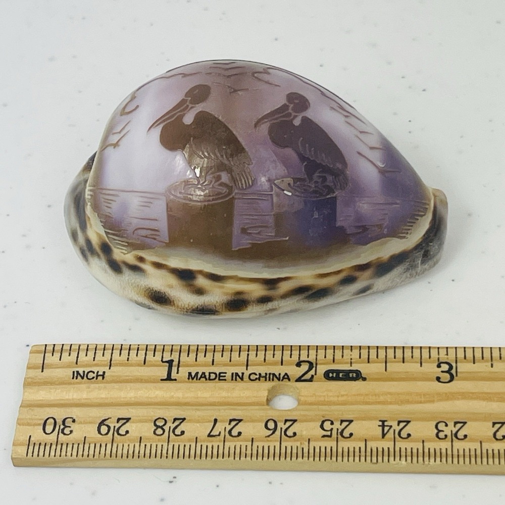 Vintage Seal Key Largo Souvenir Carved Tiger Cowrie Shell - Picture 11 of 12